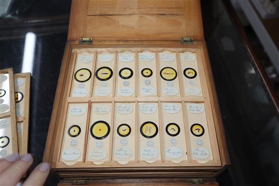 Two cases of scientific microscope slides many by Dareston, Birmingham